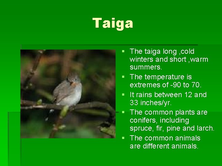 Taiga § The taiga long , cold winters and short , warm summers. §