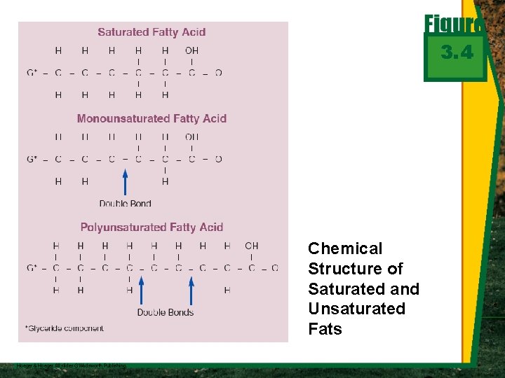 3. 4 Chemical Structure of Saturated and Unsaturated Fats 