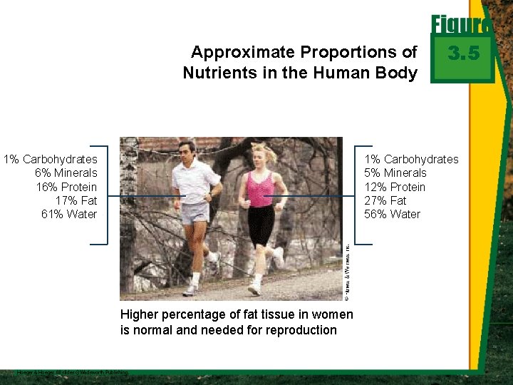 Approximate Proportions of Nutrients in the Human Body 1% Carbohydrates 6% Minerals 16% Protein