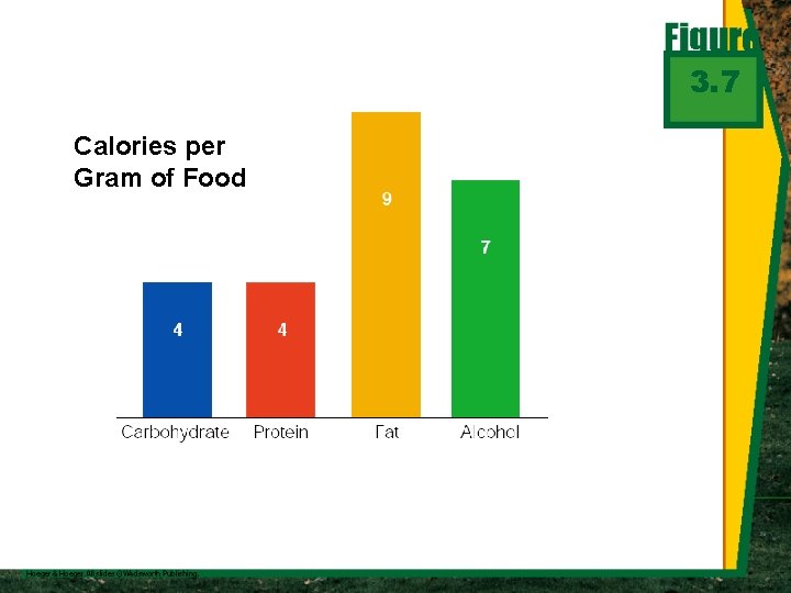 3. 7 Calories per Gram of Food 