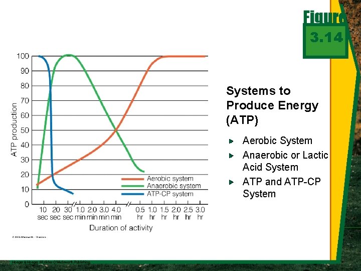 3. 14 Systems to Produce Energy (ATP) Aerobic System Anaerobic or Lactic Acid System