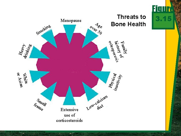 Menopause o Sm ing k Threats to Bone Health A ov ge er 50