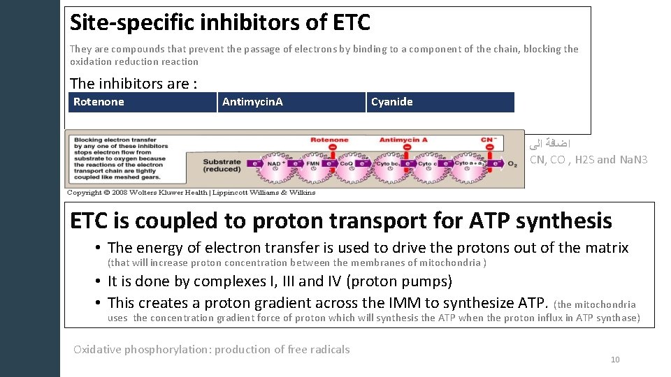 Site-specific inhibitors of ETC They are compounds that prevent the passage of electrons by