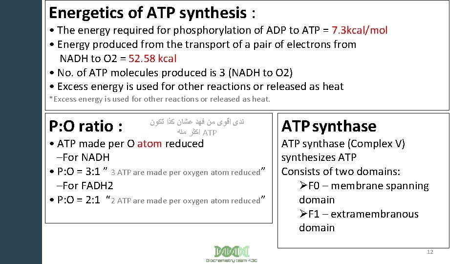 Energetics of ATP synthesis : • The energy required for phosphorylation of ADP to