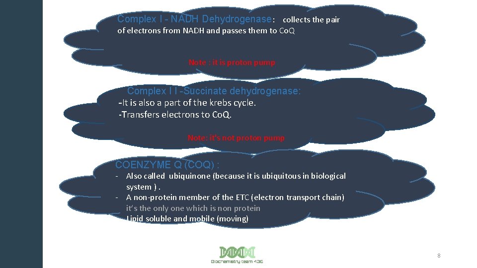 Complex I - NADH Dehydrogenase: collects the pair of electrons from NADH and passes