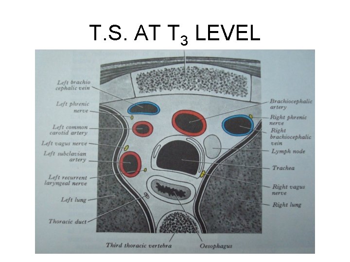 T. S. AT T 3 LEVEL 