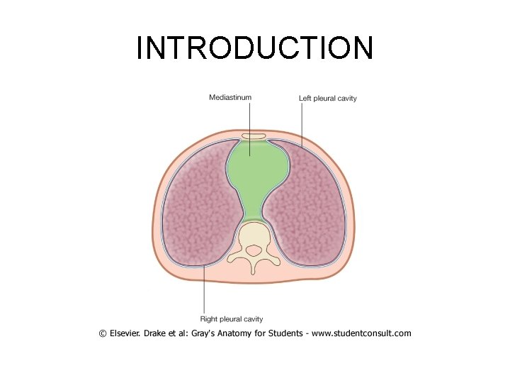 INTRODUCTION INTRODUCTION