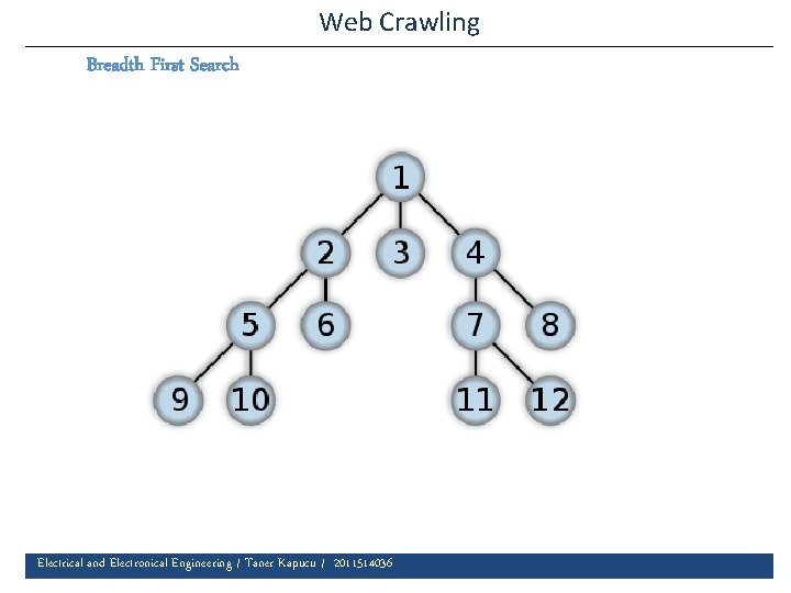 Web Crawling Breadth First Search Electrical and Electronical Engineering / Taner Kapucu / 2011514036