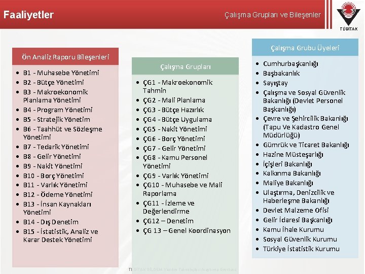 Faaliyetler Çalışma Grupları ve Bileşenler TÜBİTAK Çalışma Grubu Üyeleri Ön Analiz Raporu Bileşenleri •