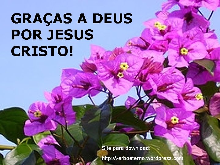 GRAÇAS A DEUS POR JESUS CRISTO! Site para download: http: //verboeterno. wordpress. com 
