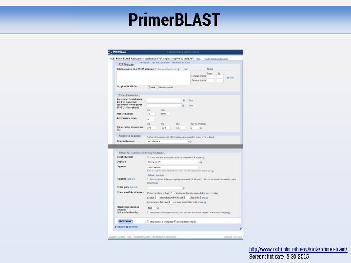 Primer. BLAST http: //www. ncbi. nlm. nih. gov/tools/primer-blast/ Screenshot date: 3 -30 -2015 