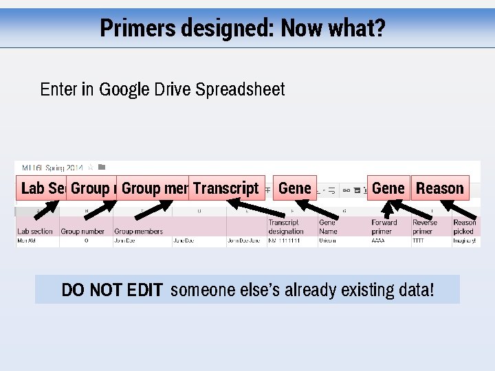 Primers designed: Now what? Enter in Google Drive Spreadsheet Lab Section Group number Group