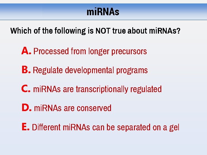 mi. RNAs Which of the following is NOT true about mi. RNAs? A. Processed