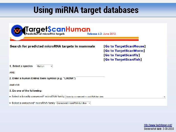 Using mi. RNA target databases http: //www. targetscan. org/ Screenshot date: 3 -30 -2015