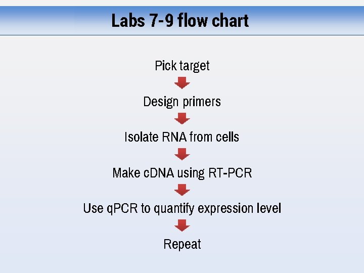 Labs 7 -9 flow chart Pick target Design primers Isolate RNA from cells Make