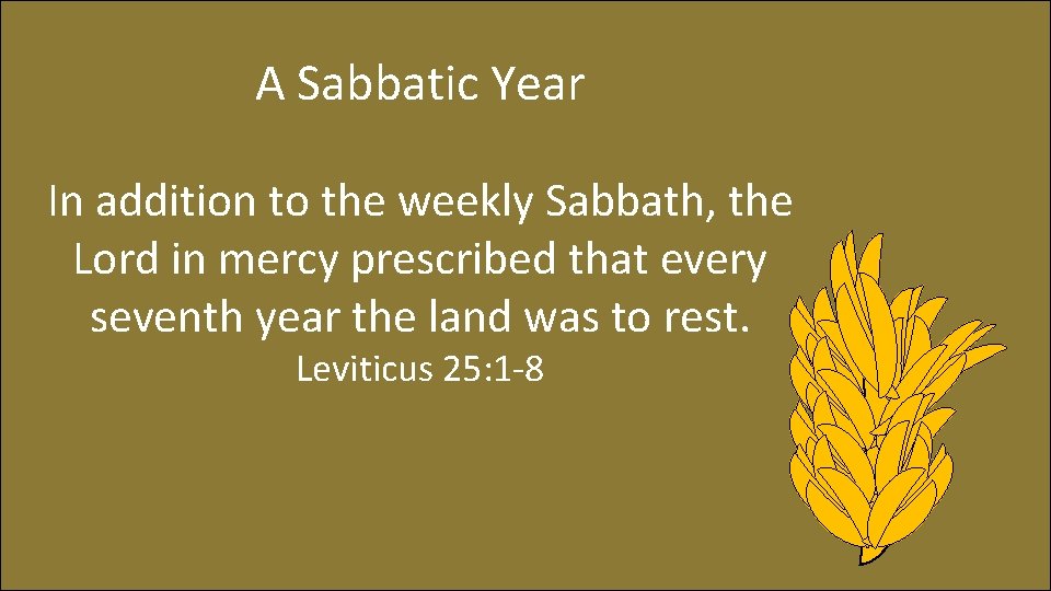 A Sabbatic Year In addition to the weekly Sabbath, the Lord in mercy prescribed