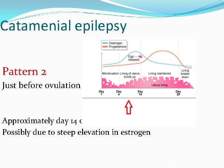 Catamenial epilepsy Pattern 2 Just before ovulation Approximately day 14 of menstrual period Possibly