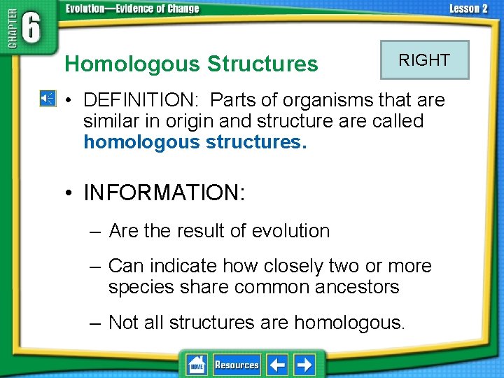 Homologous Structures RIGHT • DEFINITION: Parts of organisms that are similar in origin and