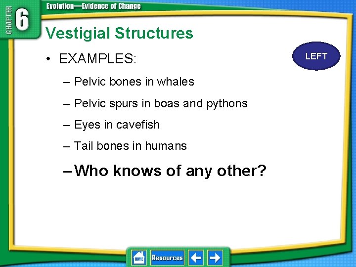 Vestigial Structures • EXAMPLES: – Pelvic bones in whales – Pelvic spurs in boas