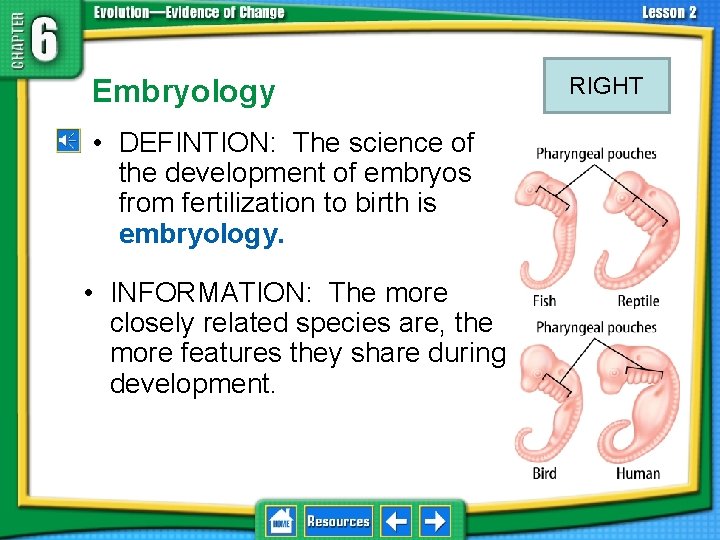 6. 2 Biological Evidence Embryology • DEFINTION: The science of the development of embryos
