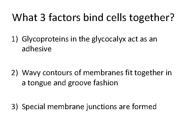 What 3 factors bind cells together? 1) Glycoproteins in the glycocalyx act as an