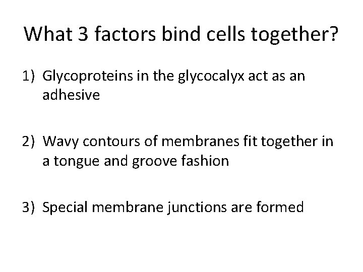 What 3 factors bind cells together? 1) Glycoproteins in the glycocalyx act as an