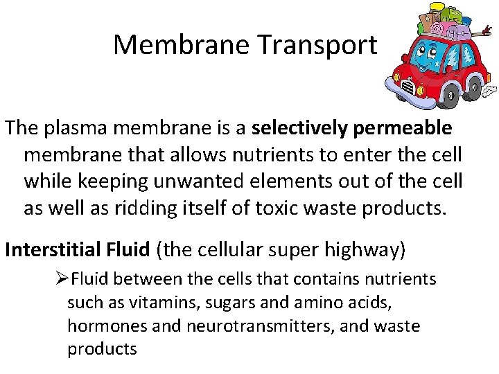 Membrane Transport The plasma membrane is a selectively permeable membrane that allows nutrients to