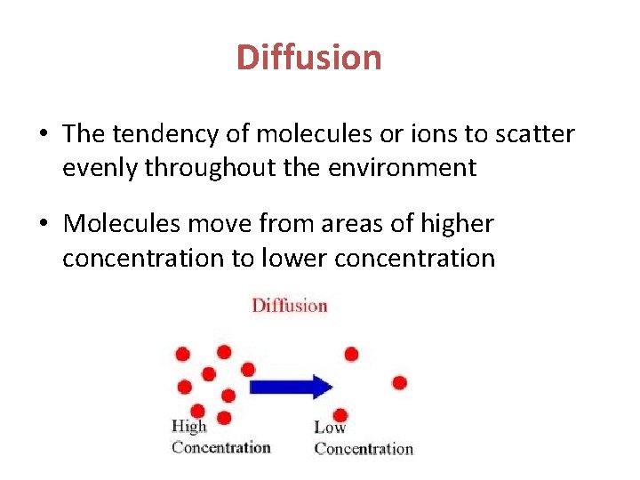 Diffusion • The tendency of molecules or ions to scatter evenly throughout the environment