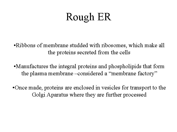 Rough ER • Ribbons of membrane studded with ribosomes, which make all the proteins