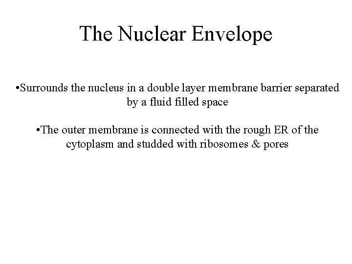 The Nuclear Envelope • Surrounds the nucleus in a double layer membrane barrier separated