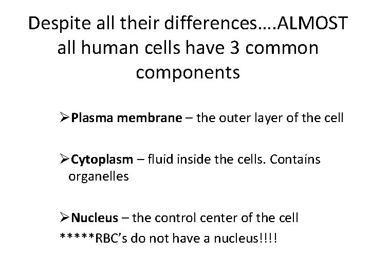 Despite all their differences…. ALMOST all human cells have 3 common components ØPlasma membrane