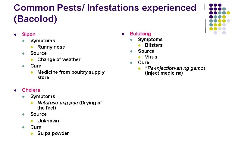 Common Pests/ Infestations experienced (Bacolod) l Sipon l Symptoms l Runny nose l Source