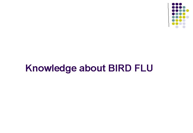 Knowledge about BIRD FLU 