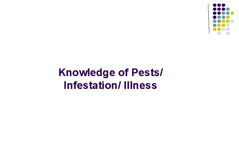 Knowledge of Pests/ Infestation/ Illness 