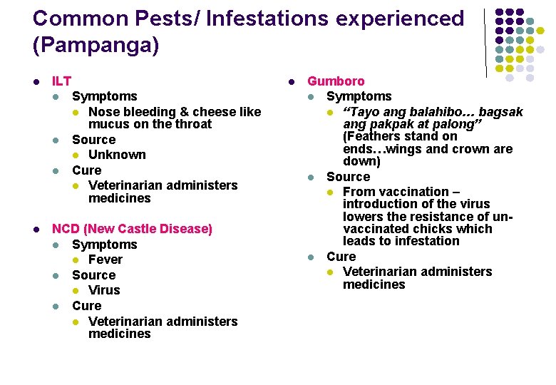 Common Pests/ Infestations experienced (Pampanga) l ILT l l l Symptoms l Nose bleeding