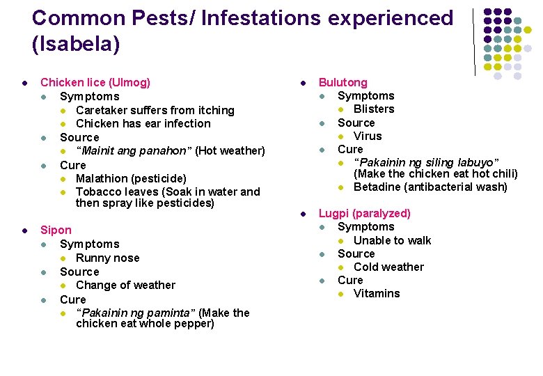 Common Pests/ Infestations experienced (Isabela) l Chicken lice (Ulmog) l l l Malathion (pesticide)