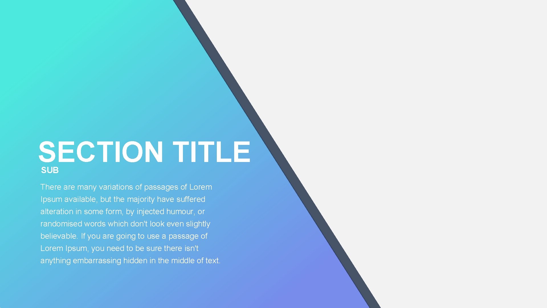 SECTION TITLE SUB There are many variations of passages of Lorem Ipsum available, but