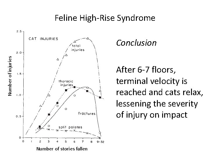 Feline High-Rise Syndrome Number of injuries Conclusion After 6 -7 floors, terminal velocity is