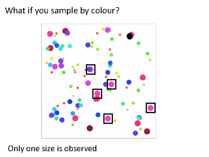 What if you sample by colour? Only one size is observed 