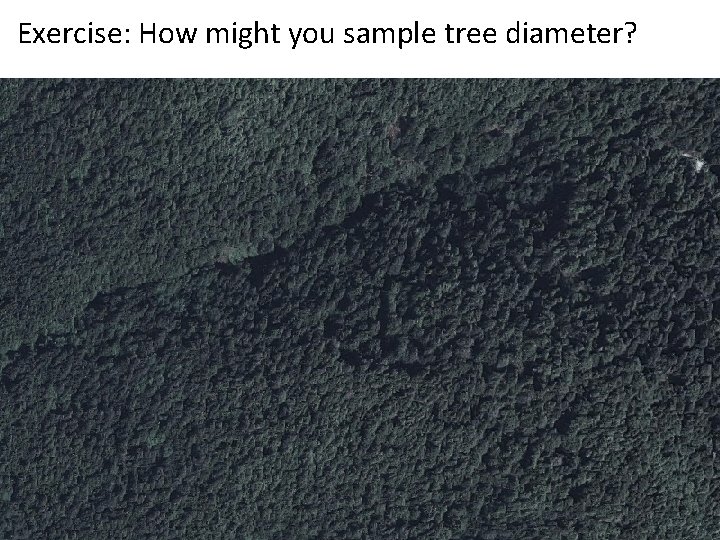 Exercise: How might you sample tree diameter? 