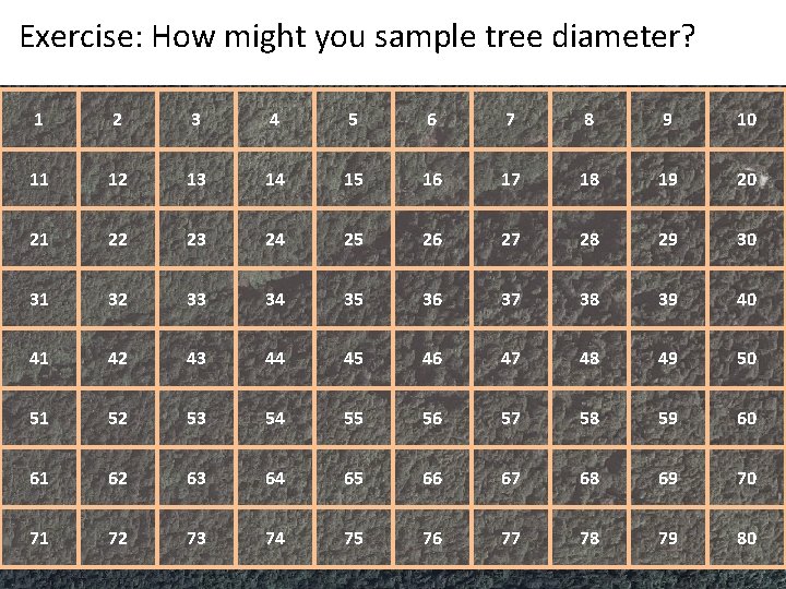 Exercise: How might you sample tree diameter? 1 2 3 4 5 6 7