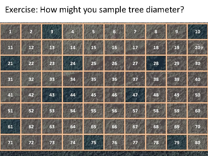 Exercise: How might you sample tree diameter? 1 2 3 4 5 6 7