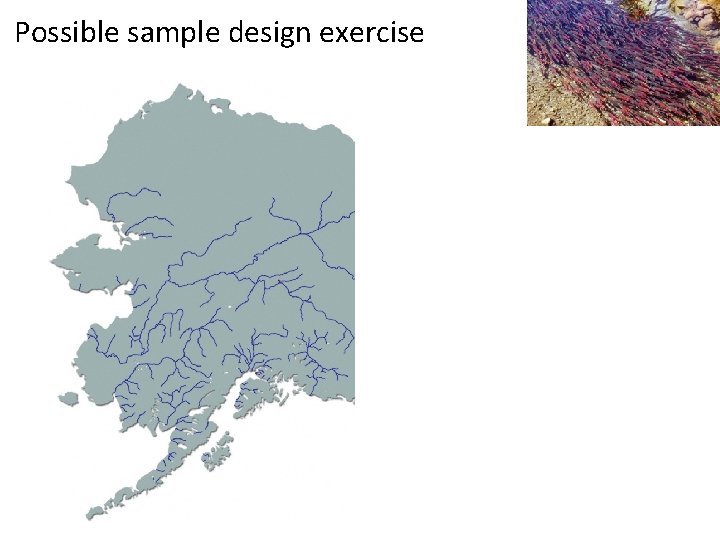 Possible sample design exercise 