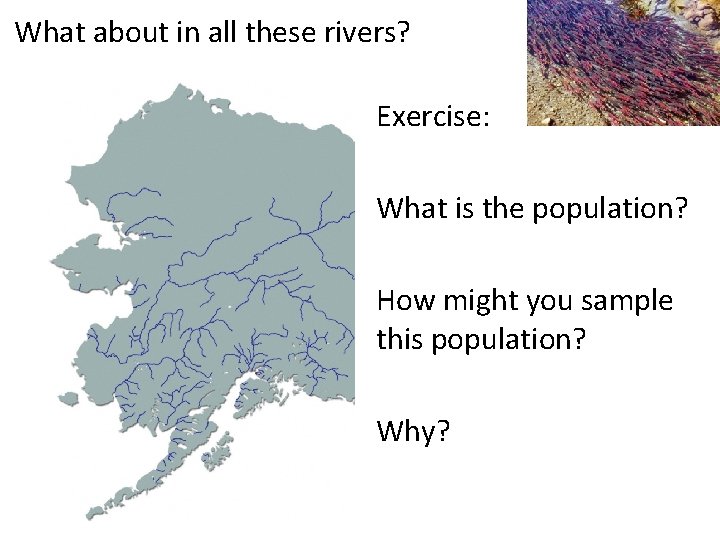 What about in all these rivers? Exercise: What is the population? How might you