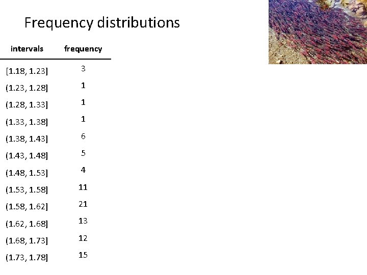 Frequency distributions intervals frequency [1. 18, 1. 23] 3 (1. 23, 1. 28] 1