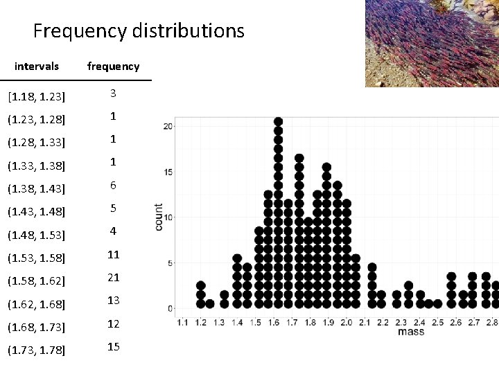 Frequency distributions intervals frequency [1. 18, 1. 23] 3 (1. 23, 1. 28] 1