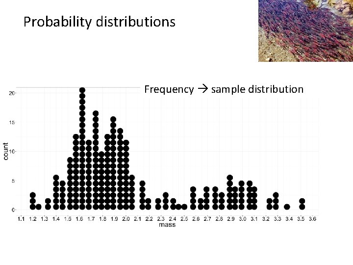 Probability distributions Frequency sample distribution 