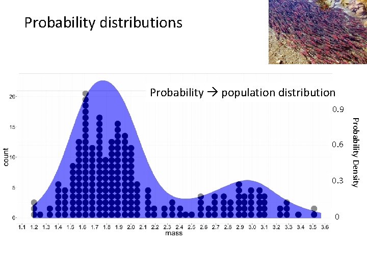Probability distributions Probability population distribution 0. 9 0. 3 0 Probability Density 0. 6