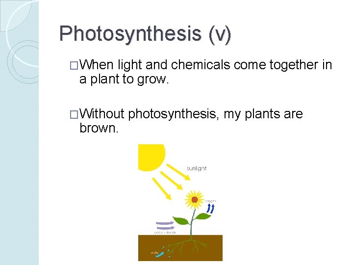 Photosynthesis (v) �When light and chemicals come together in a plant to grow. �Without