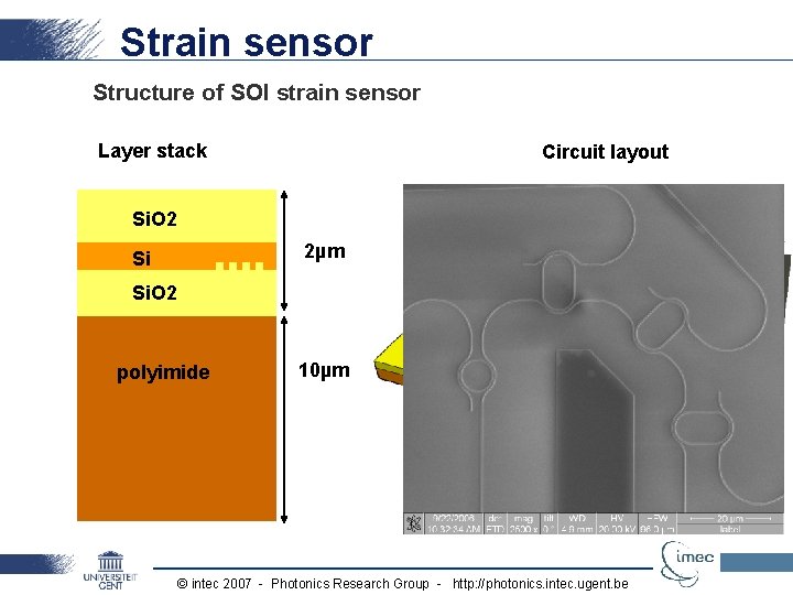 Si based Waveguide and Surface Plasmon Sensors Peter